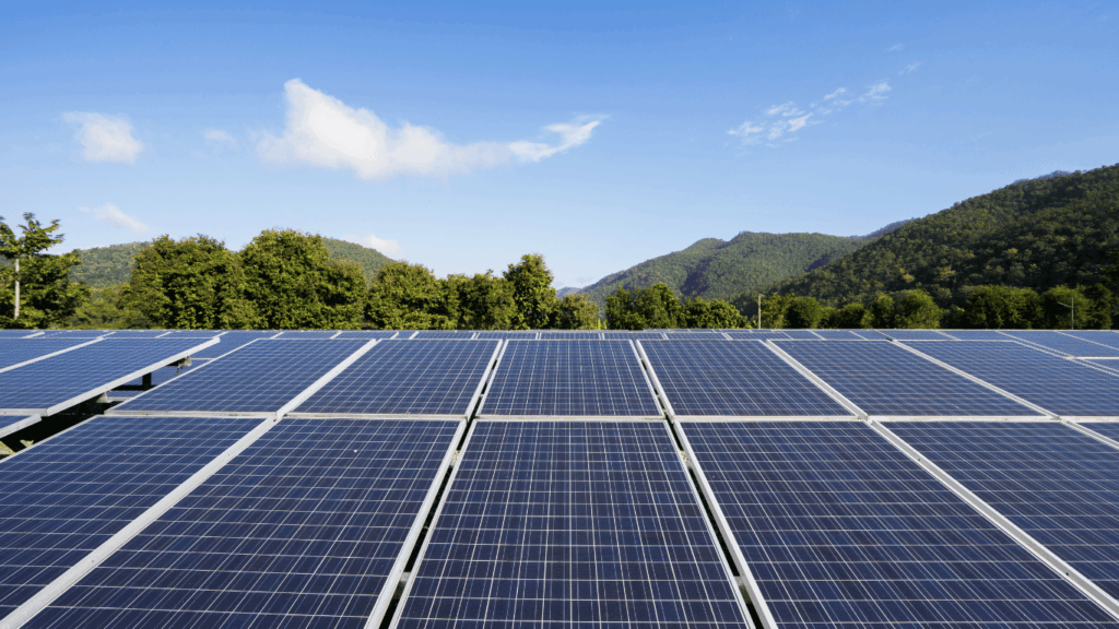 山を切り開いて設置された太陽光パネル